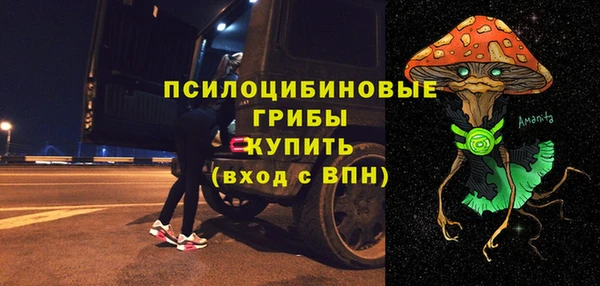 прущая мука Арсеньев
