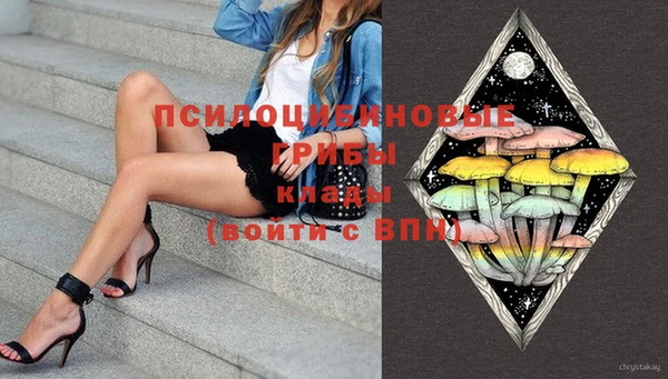 твердый Алексеевка