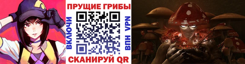 как найти   Заполярный  Галлюциногенные грибы Magic Shrooms 