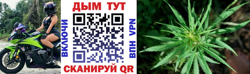 Шишки марихуана гибрид  Заполярный 